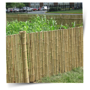 bamboo-fences