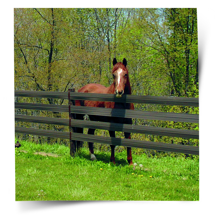 Horse Fence Installation NJ Anello Fence, LLC